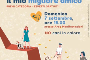 Sfoglia la galleria